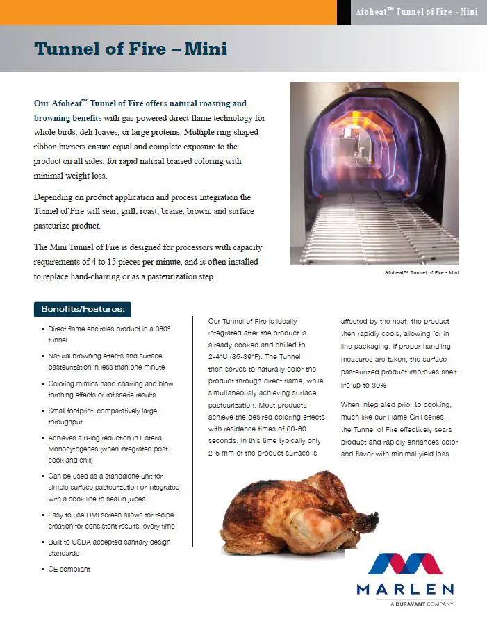 Thumbnail: Afoheat Tunnel of Fire Brochure