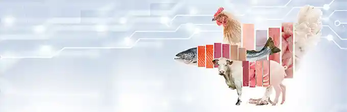 Marelec header image