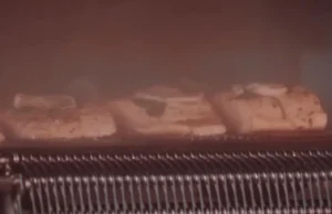 Salmon steam cooking in a Spiral Oven