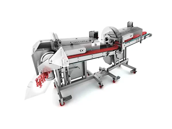 Rendering of an AE 5000 3D dicer