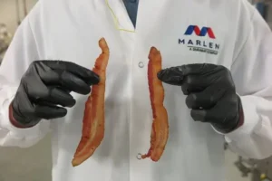 CircFood employee holding 2 bacon slices