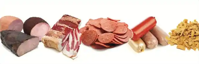 CircFood Proteins