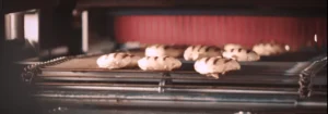 Chicken with grill marks coming out of a CircFood Flame Grill