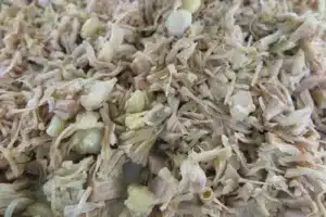 Plant-based food - picture of shredded Jackfruit