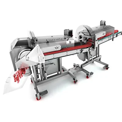 Rendering of an AE 5000 3D dicer