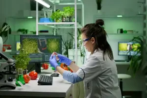 Food Waste Technology
